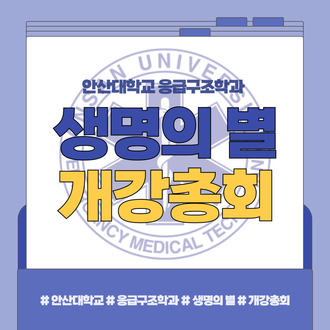 KakaoTalk_20250313_131500116.png