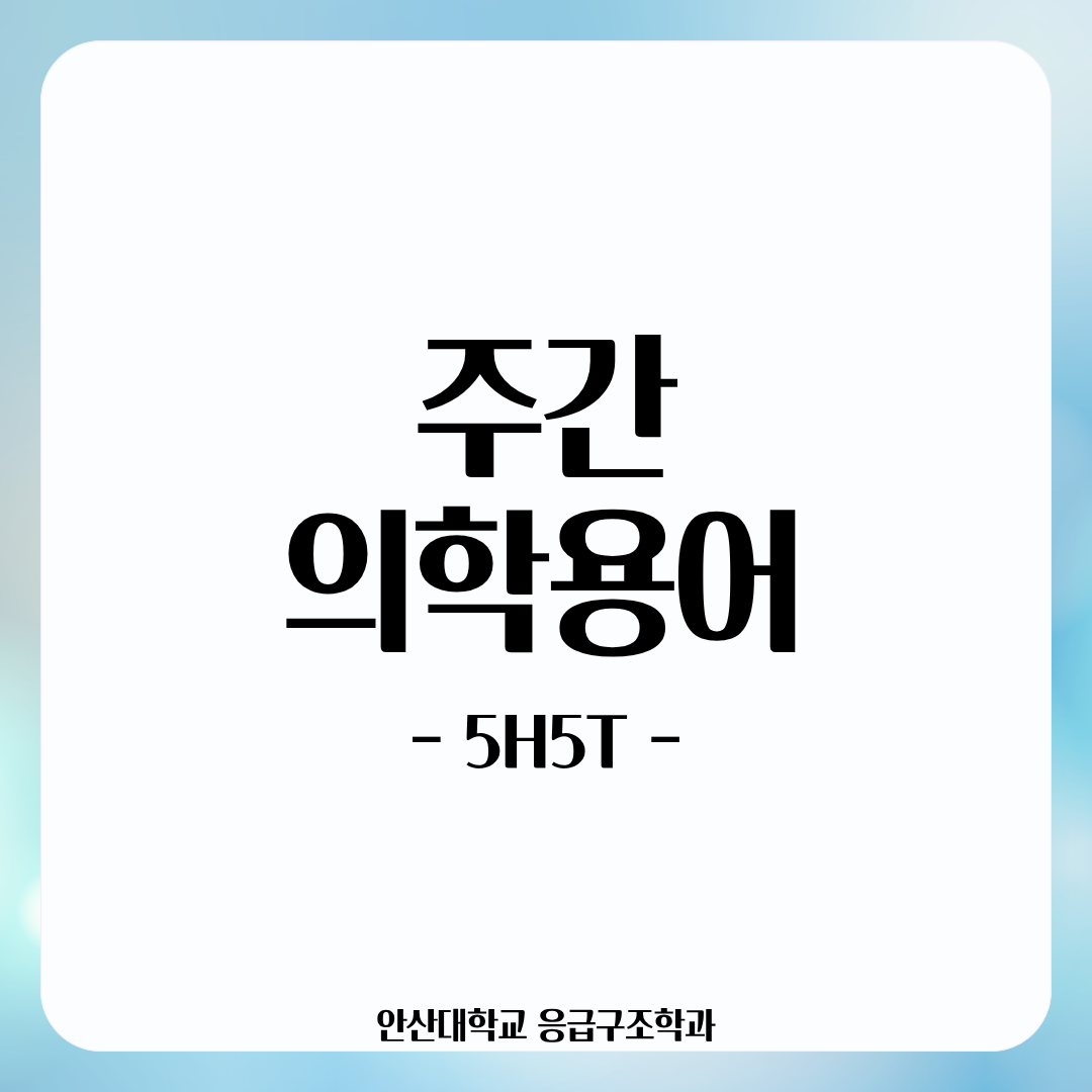 KakaoTalk_20260518_170530170.png