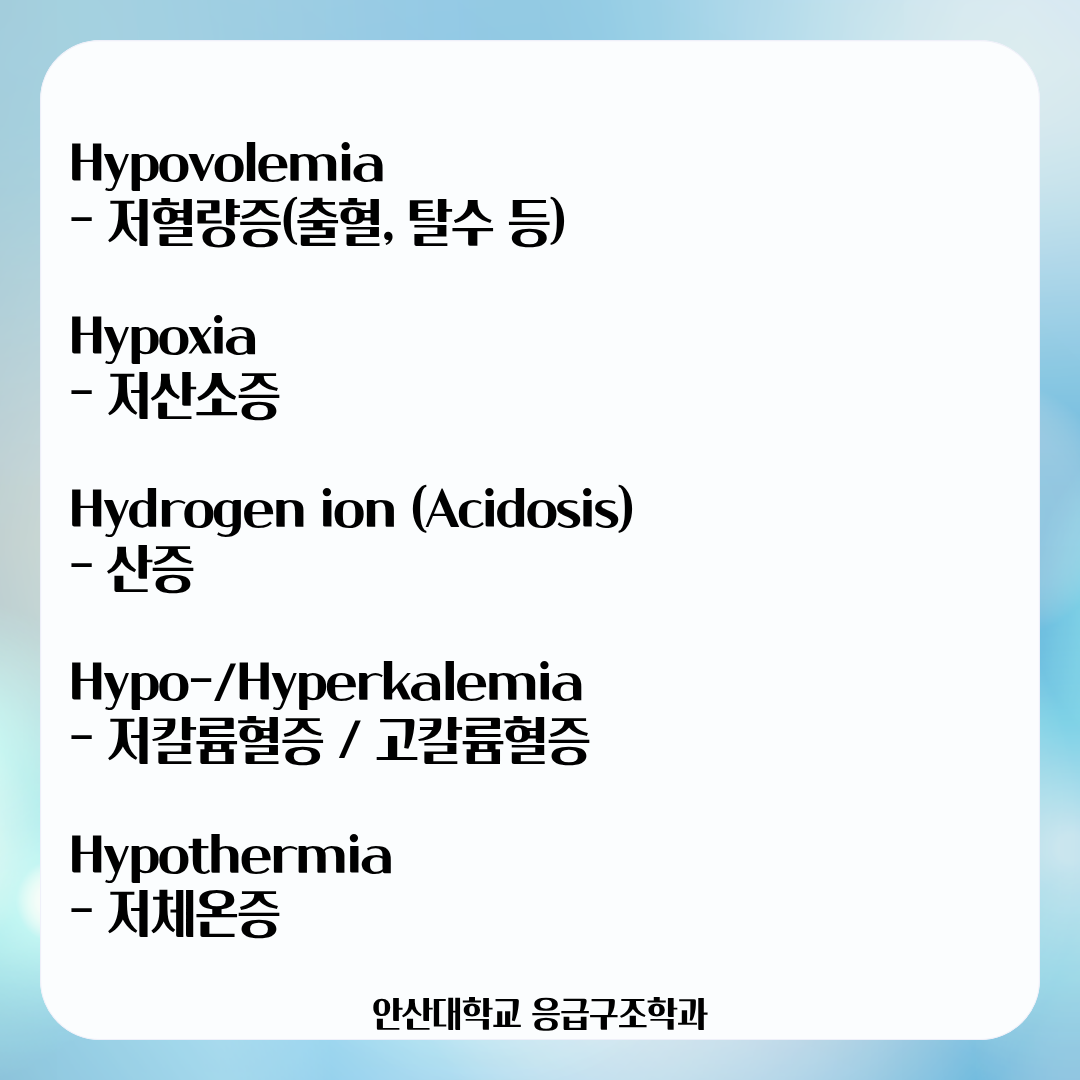 KakaoTalk_20260518_170530170_01.png