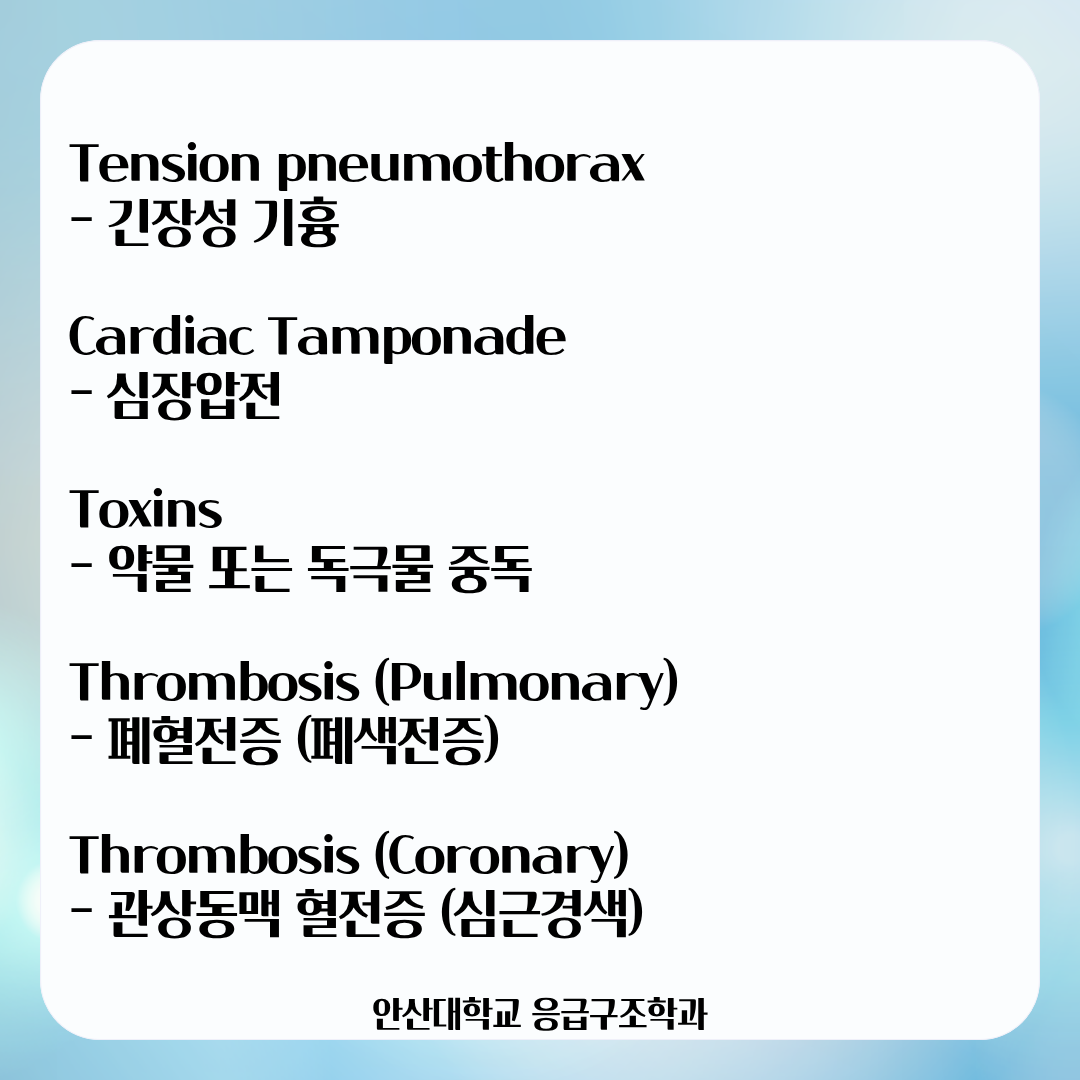 KakaoTalk_20260518_170530170_02.png