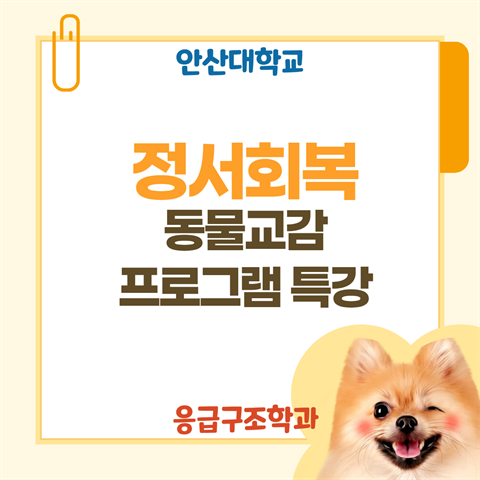 정서회복 동물교감프로그램 특강